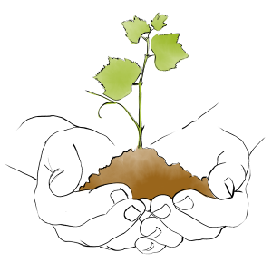 Illu-vigne-au-creux-des-mains_landrat-guyollot-300x300-1