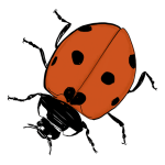 Landart_guyollot_coccinelle-min-150x150-1