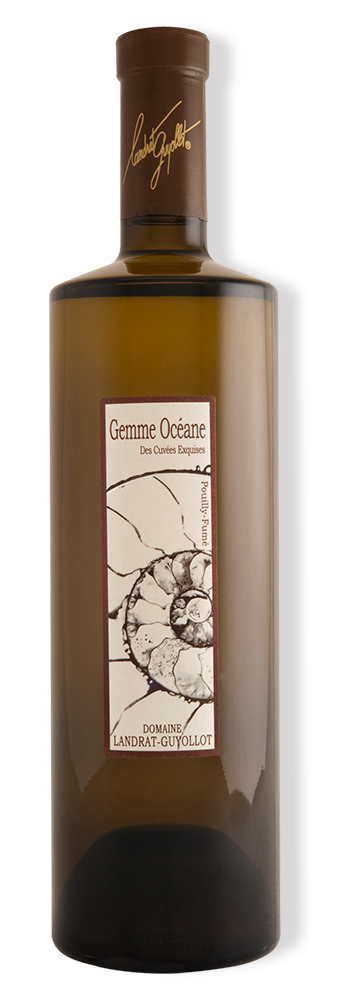 bouteille- gemme O pour site web