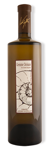 bouteille- gemme O pour site web@0,5x