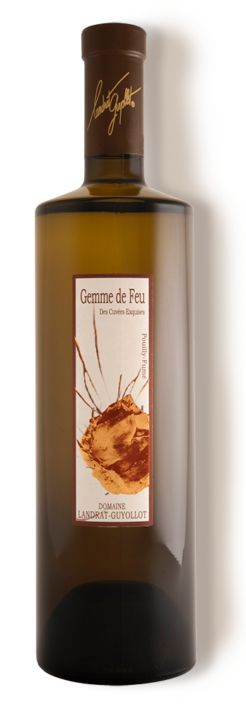 bouteille- gemme de F pour site web 2