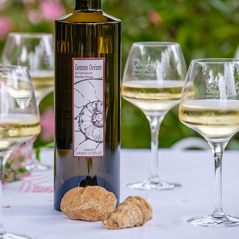 gemme-oceane-pouilly-fume-landrat-guyollot-min-min