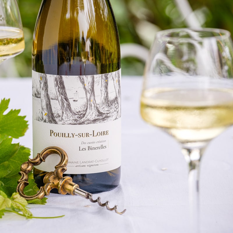 les-binerelles-pouilly-sur-loire-landrat-guyollot-min