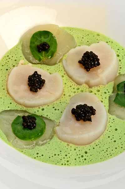 st-jacques_caviar_pouilly_fume Des beignets d'huitre dans des coquilles d'huitre sur une ardoise